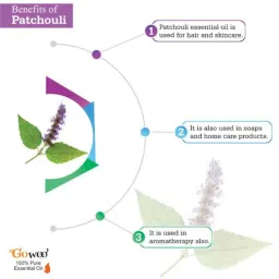 GoWoo 2 Pcs 10ml Natural Therapeutic Grade Cold Pressed Patchouli Aroma Oil &a; 100ml Pumpkin Seed Carrier Oil Set, GWOC1072-P39+P182 image 4