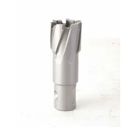 Eibenstock 38x35mm TCT Annular Cutter, 522300-picture-43