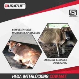 Duratuf 4x7ft Rubber Black Hexa Cow Mat image 3