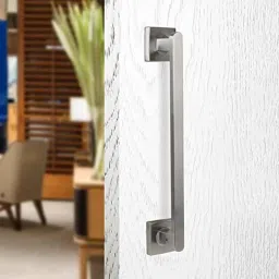 Saze 10 inch Stainless Steel Silver Satin Finish Door Handles, LB-304-picture-25