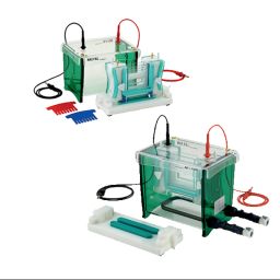 Abdos Caster System for Gradient Mini-Gels, TV100-MC10-picture-46