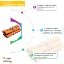 GoWoo 2 Pcs 10ml Natural Cinnamon Bark Aroma Oil &a; 100ml Neem Carrier Oil Set, GWOC374-P13+P186 image 4