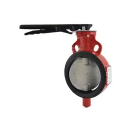 Zoloto 150mm Wafer Type PN 2.5 Butterfly Valve with S.S 304 Disc, 1078I-picture-18