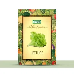 IFFCO Urban Gardens 10g Lettuce Vegetable Seeds-picture-30