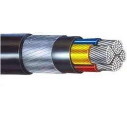 Finolex 10 Sqmm 2 Core XLPE Armoured Cable with Aluminium Conductor, Length: 100 m-picture-42