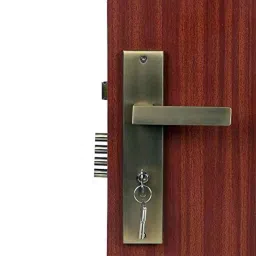 Homexpert LB10003 10 inch 60mm Stainless Steel Antique Brass Finish Cylindrical Plate Both Side Key Mortise Door Lock Set-picture-30