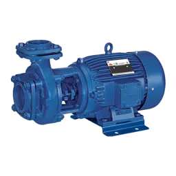 Crompton MB &a; MI 3HP Three Phase Centrifugal Monoblock Pump, MBN32-26GP, Head: 12-26 m-picture-43