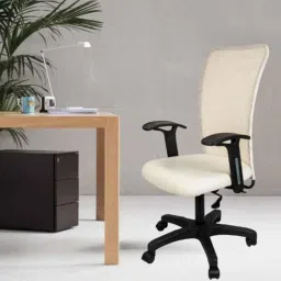 Heikin Sigma Cream Medium Back Breathable Mesh DIY Ergonomic Office Chair for Work from Home, HE-00040-picture-31