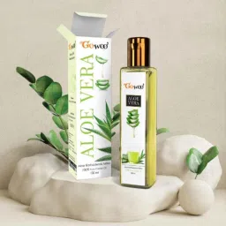 GoWoo 2 Pcs 100ml Natural Aloe Vera Carrier Oil &a; 10ml Aniseed Aroma Oil Set, GWOC89-P2+P163 image 3
