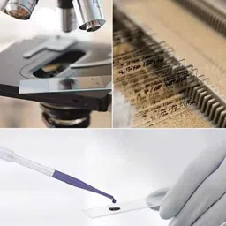 Clear &a; Sure 25.4x76.2mm Microscope Glass Slides (Pack of 50) image 4