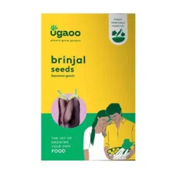 Ugaoo 2g Vegetable Brinjal Banarshi Giant Seeds, NUVSO066-image-1