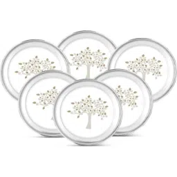 Classic Essentials CE-06 6 Pcs 30cm Stainless Steel Mirror Finish Dinner Plate Set (Pack of 2)-image-95