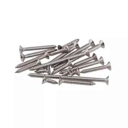 Rpi Shop 6x38mm Drywall Gypsum Screw with Wallplugs (Pack of 500)-picture-31
