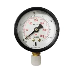 Japsin Instrumentation 300 PSI 0 to 21kg/cm2 Mild Steel Powder Coated Analog Commercial Pressure Gauge, JI-CPG-1015-picture-28