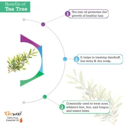 GoWoo 2 Pcs 10ml Natural Tea Tree Aroma Oil &a; 100ml Avocado Carrier Oil Set, GWOC1219-P45+P167 image 4