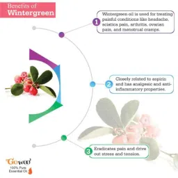 GoWoo 2 Pcs 10ml Natural Therapeutic Grade Wintergreen Aroma Oil &a; 100ml Bhringraj Carrier Oil Set, GWOC1303-P48+P170 image 4