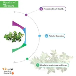 GoWoo 2 Pcs 10ml Natural Therapeutic Grade Thyme Aroma Oil &a; 100ml Jojoba Carrier Oil Set, GWOC1254-P46+P175 image 4