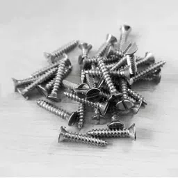 B K Jagan &a; Co 6x50mm CSK Self Tapping Steel Screw (Pack of 250) image 5