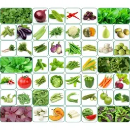 Aero Seeds 150g 50 Varieties Vegetable Seeds, Aero-Veg-50-image-9