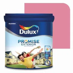 Dulux Promise 1 Litre Destiny Gloss Finish Exterior Acrylic Emulsion Paint, E0899C-1-picture-17