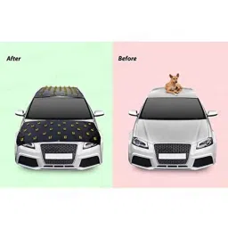 Kozdiko Car Roof &a; Bonnet Protection Cover Set from Dog &a; Monkey for Toyota Qualis image 2
