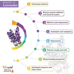 GoWoo 2 Pcs 10ml Natural Therapeutic Grade Cold Pressed Lavender Aroma Oil &a; 100ml Pumpkin Seed Carrier Oil Set, GWOC721-P26+P182 image 4