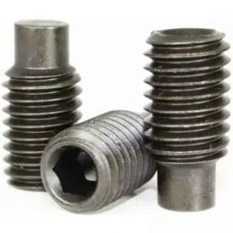 TVS Metric Series M8 Dog Point Socket Set Screw, Length: 10mm (Pack of 100)-picture-14