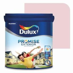 Dulux Promise 10 Litre Angel Gloss Finish Exterior Acrylic Emulsion Paint, ECD4D6-10-picture-10