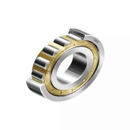 BM3 45x100x25 mm Chrome Steel Cylindrical Roller Bearing, N-309 (Pack of 10) image 2