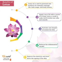 GoWoo 2 Pcs 10ml Natural Lotus Aroma Oil &a; 100ml Argan Carrier Oil Set, GWOC835-P30+P188 image 4