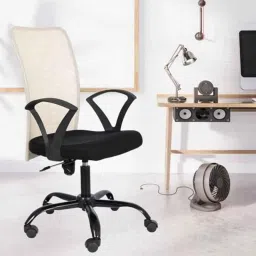 White Clouds Enterprise Sigma Cream &a; Black High Back Ergonomic Office Chair with Mesh, 29-picture-21
