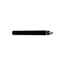RR Kabel 1 Sqmm 2 Core Black Shielded Armoured Cable, Length: 100m-picture-43