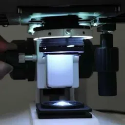 Labomed 2000 New Vision Halogen Binocular image 2