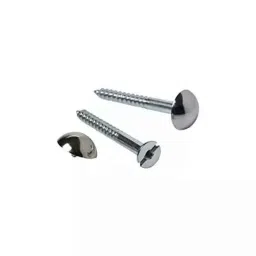 B K Jagan &a; Co 2.1/2 inch Mirror Screw Self Tapping with Button Brass (Pack of 25)-picture-43