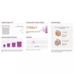 Asian Paints Royale Luxury 18 Litre 9178 Exterior Emulsion, RB 11 image 2