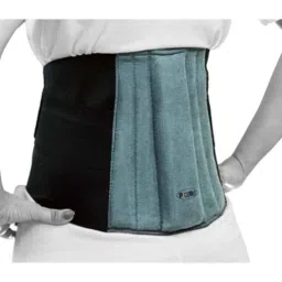 p care P+caRe Grey &a; Black Lumbar Support, A1013, Size: XXL image 2
