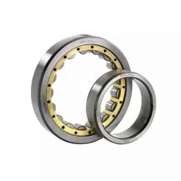 BM3 N-207 Chrome Steel Cylindrical Roller Bearing, 35x72x17 mm-picture-27