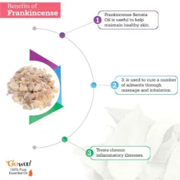 GoWoo 2 Pcs 10ml Natural Frankincense Serrata Aroma Oil &a; 100ml Amla Carrier Oil Set, GWOC569-P21+P165 image 4