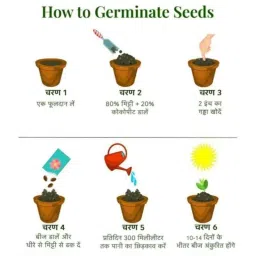 Aero Seeds 150g 20 Varieties Vegetable &a; 20 Varieties Flower Seeds Combo, Aero-20+20 image 3