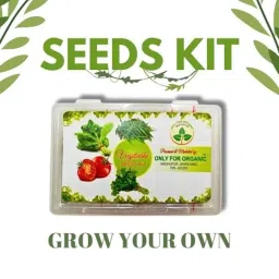 Only For Organic 50g 4-in-1 Red Spinach, Coriander, Bottle Gourd &a; Chilli Vegetable Seeds Set image 3