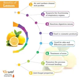 GoWoo 2 Pcs 10ml Natural Lemon Aroma Oil &a; 100ml Almond Carrier Oil Set, GWOC730-P27+P164 image 4