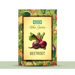 IFFCO Urban Gardens 2g Beetroot Vegetable Seeds-picture-37