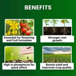 Katyayani 470g NPK 12 61 00 High Phosphorus Fertilizer, K-5180 image 3