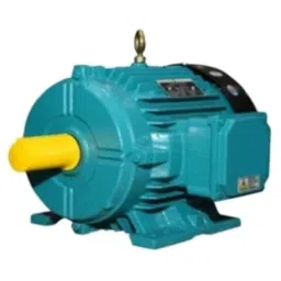 Crompton Greaves 0.75HP 6 Pole Three Phase Foot Mounting IE3 Squirrel Cage Induction Motor, NS80M-image-6