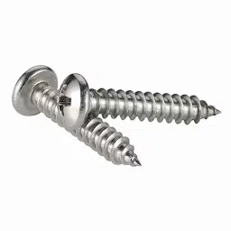 B K Jagan &a; Co 8x25mm Philips Head Nickel Coated Self Tapping Screw (Pack of 250) image 2