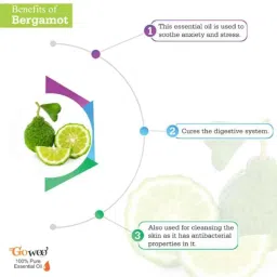 GoWoo 2 Pcs 10ml NaturalBergamot Aroma Oil &a; 100ml Avocado Oil Set, GWOC139-P5+P167 image 4