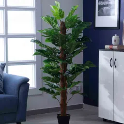 casacraft from pepperfry Polyester Alison Green Split Philo With Pot Artificial Plant image 1