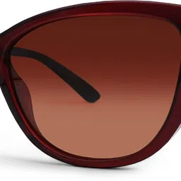 elvis Polarized Cat-eye Sunglasses (58)-picture-46