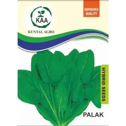 Kuntal Agro 20g Spinach Hybrid Vegetable Seeds-picture-10