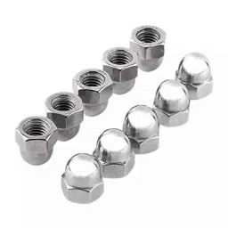 Rpi Shop M6 Hex Head Acorn Dome Cap Nut (Pack of 10)-picture-38